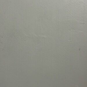 Coach Black High-Top Wedge Sneakers